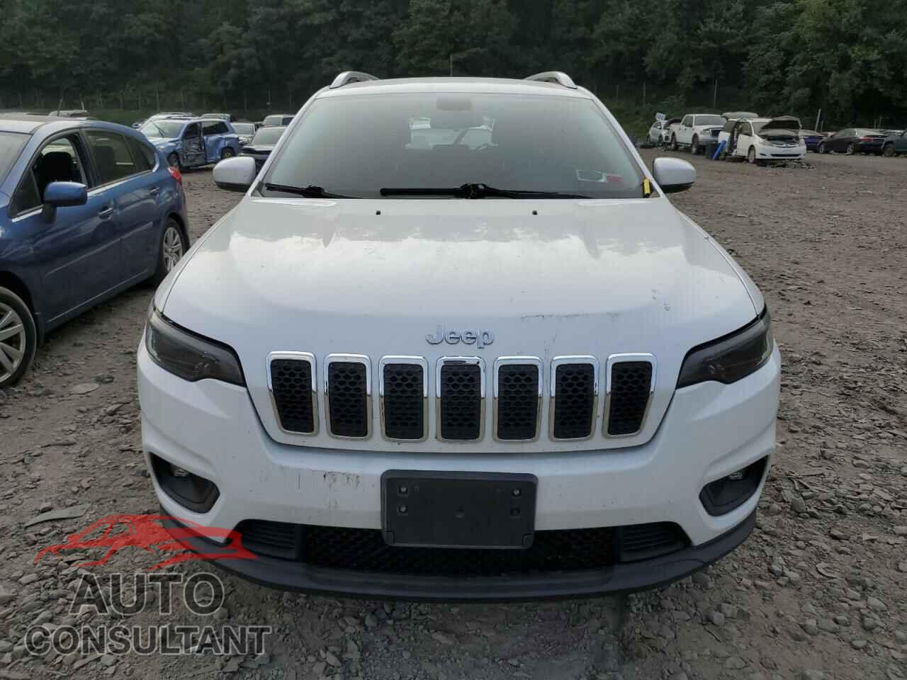 JEEP GRAND CHER 2019 - 1C4PJMLB2KD404560