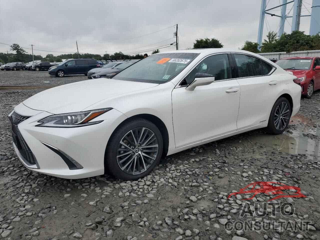 LEXUS ES300 2022 - 58ADA1C16NU018452