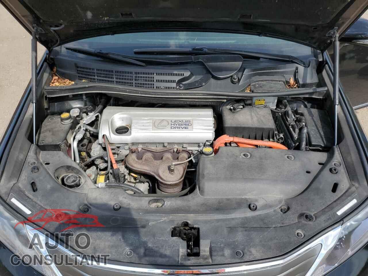 LEXUS HS 2010 - JTHBB1BA8A2034691
