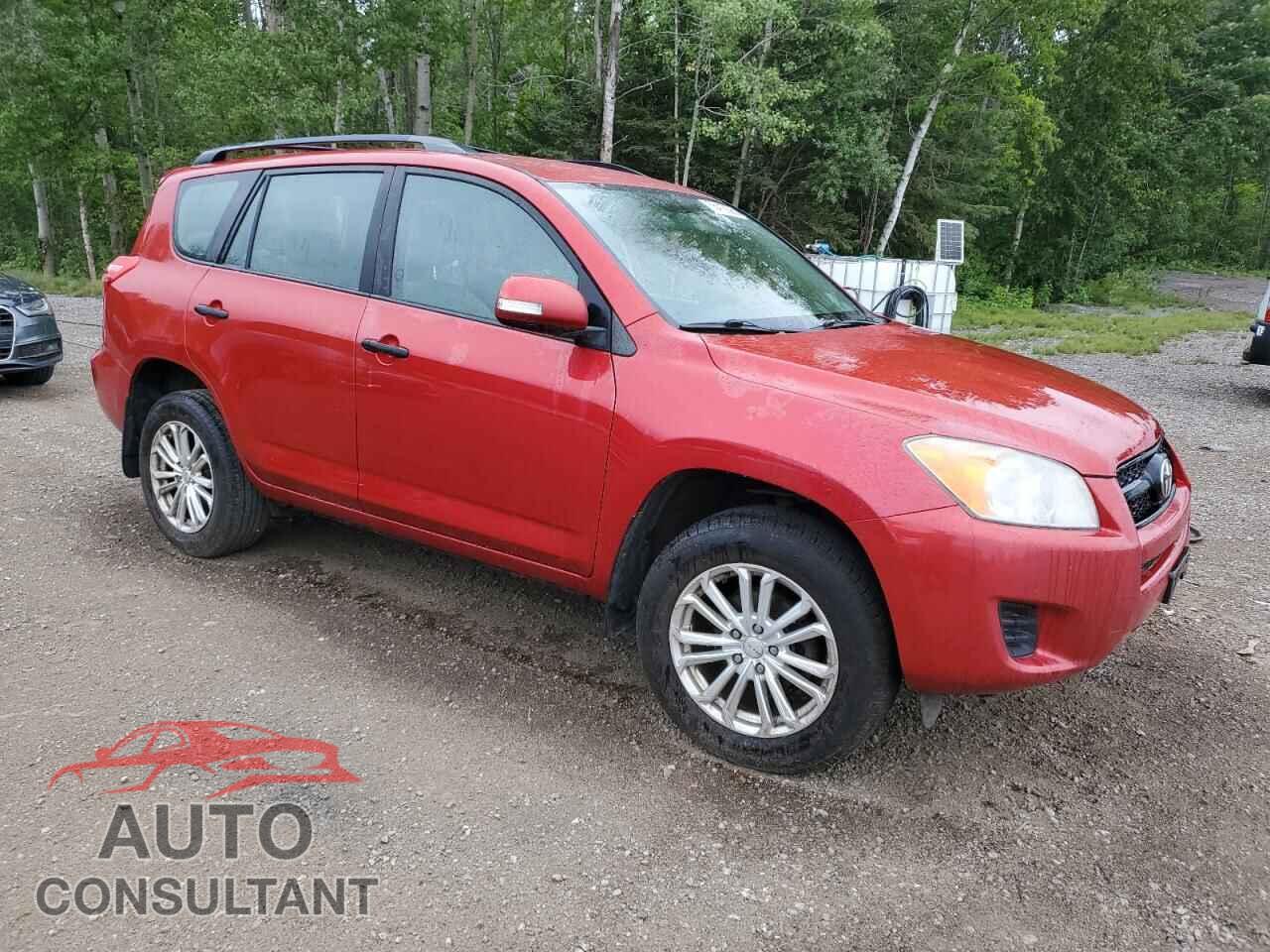 TOYOTA RAV4 2011 - 2T3BF4DV4BW125554