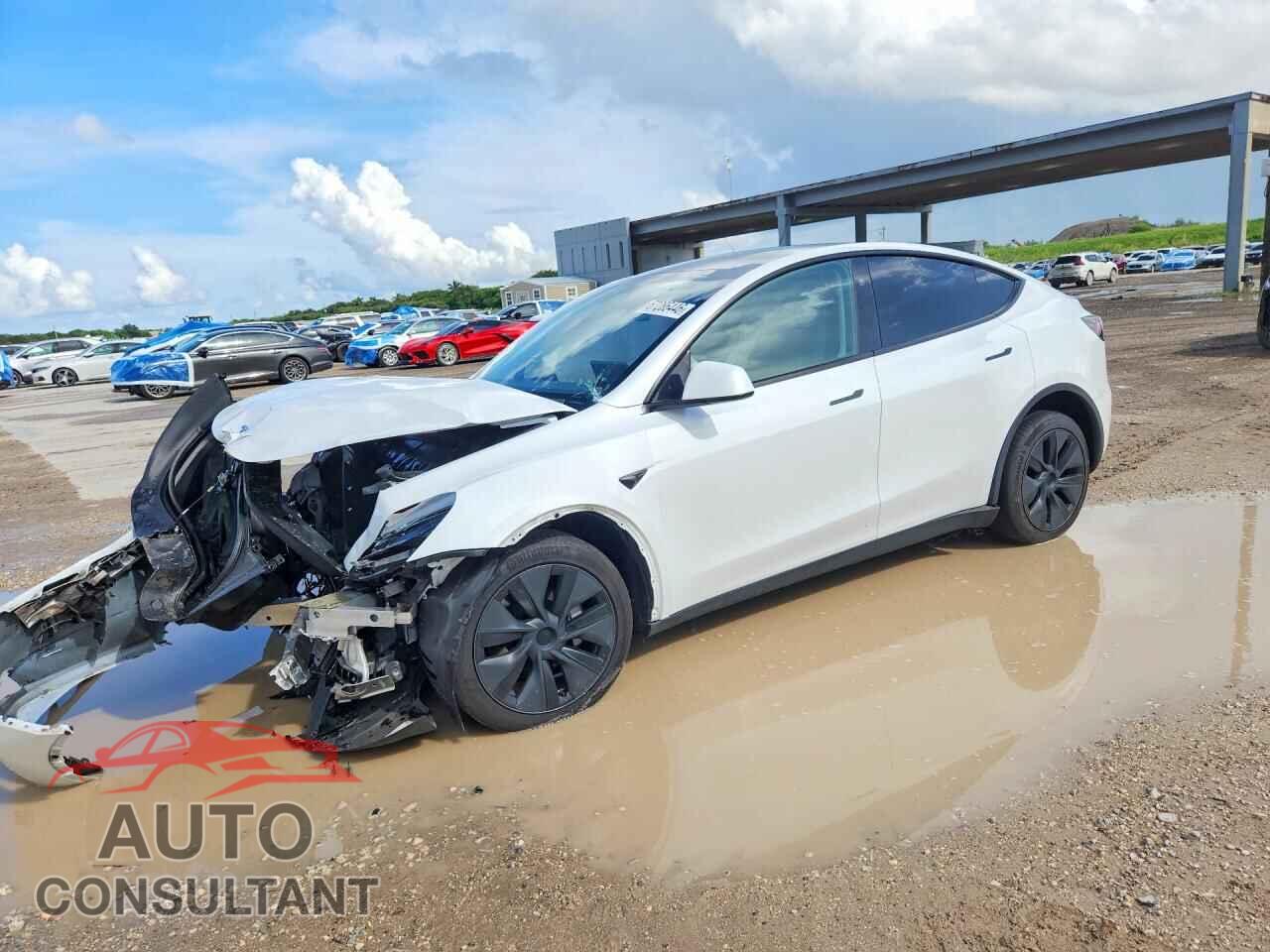 TESLA MODEL Y 2024 - 7SAYGAEE4RF167455