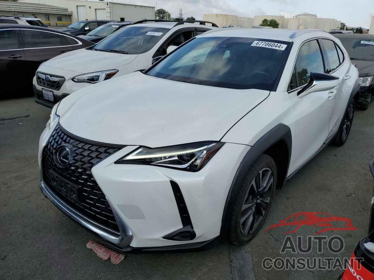 LEXUS UX 250H 2020 - JTHX9JBH6L2031791