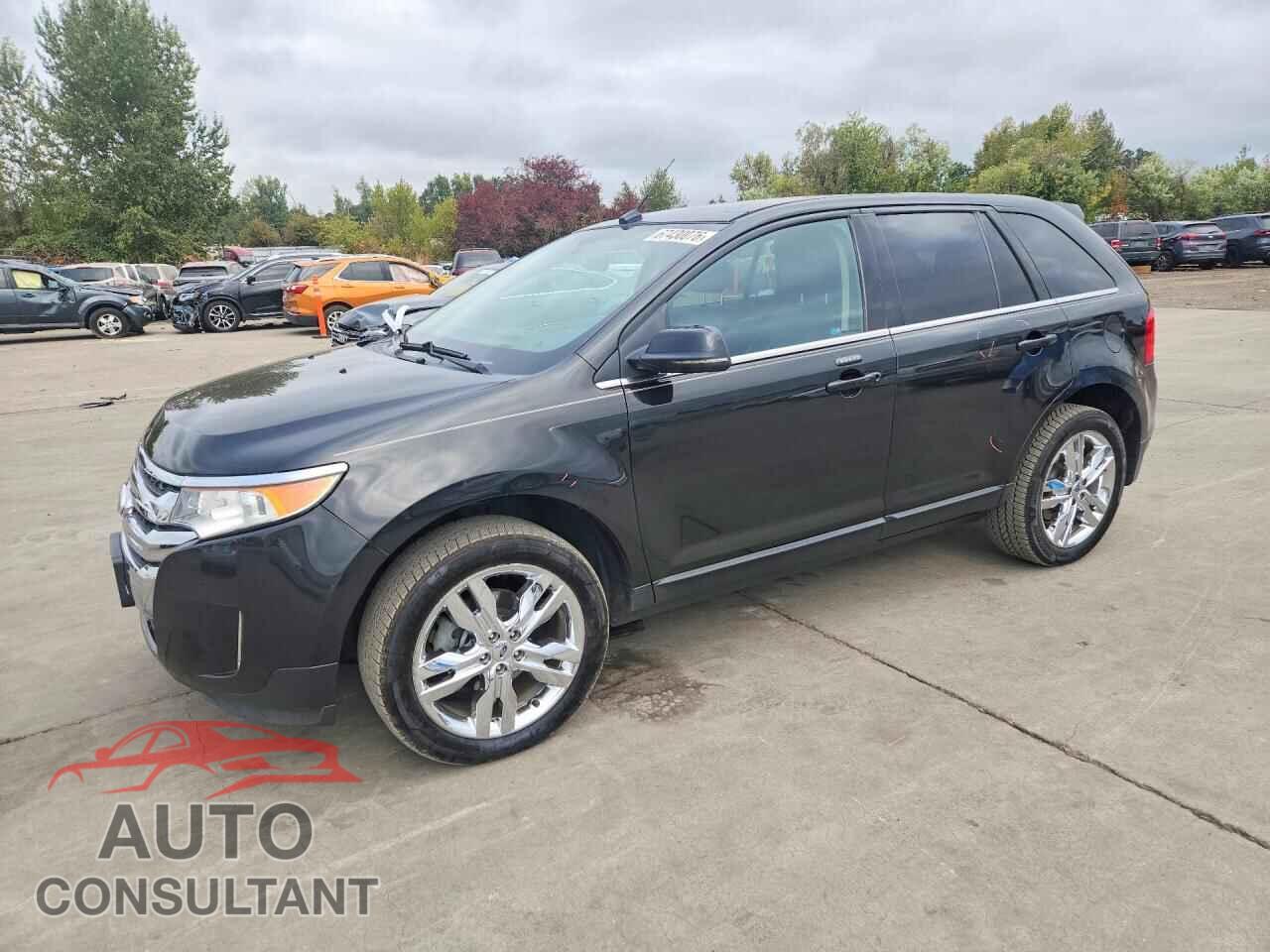 FORD EDGE 2012 - 2FMDK4KC5CBA90321