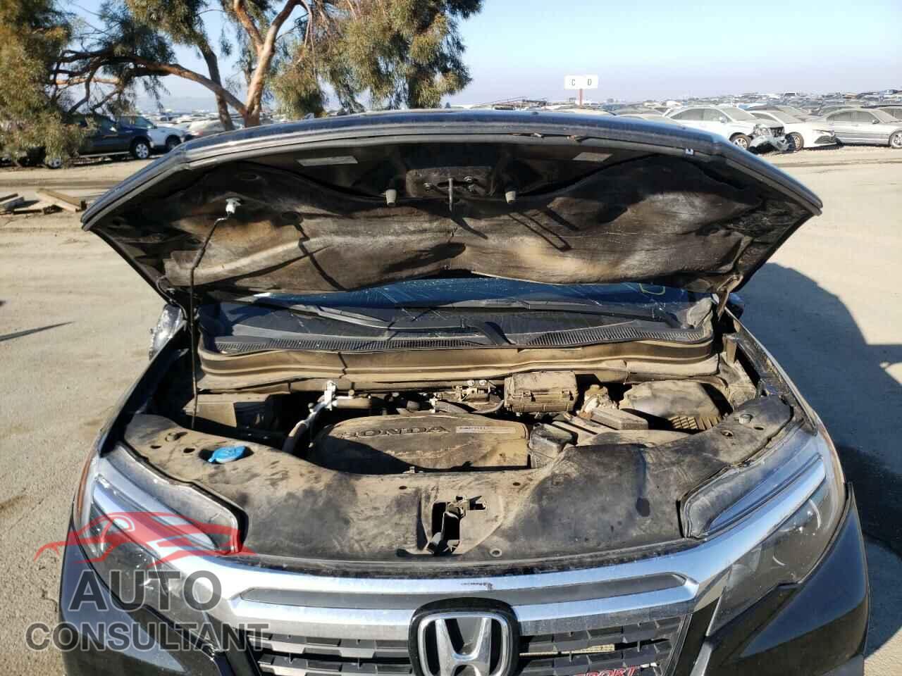 HONDA RIDGELINE 2019 - 5FPYK3F18KB029675