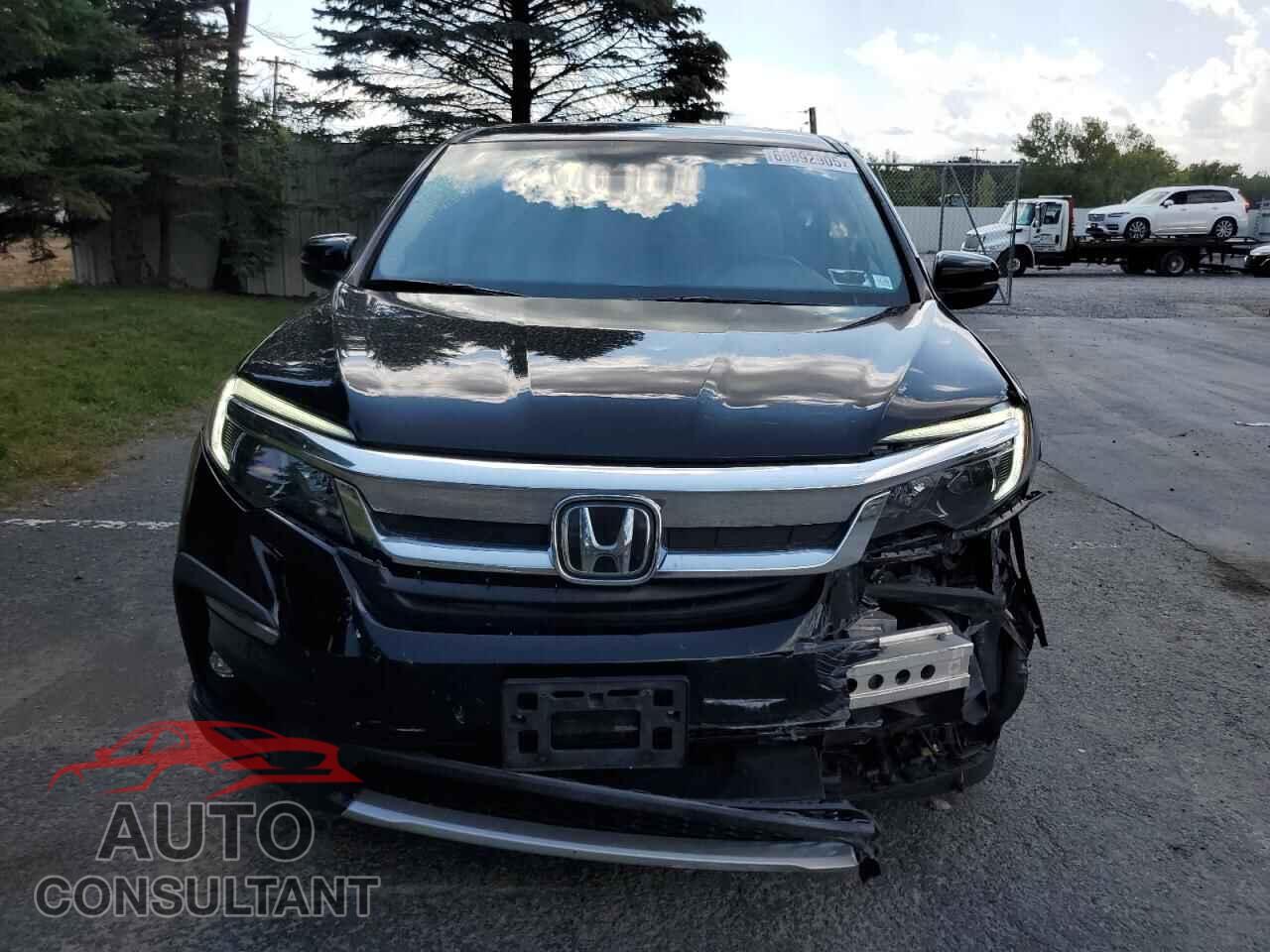 HONDA PILOT 2019 - 5FNYF6H57KB080227