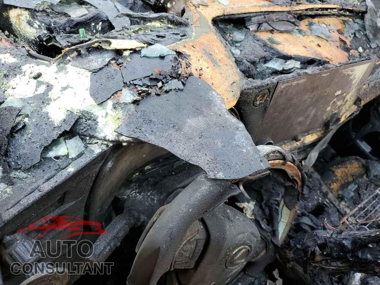 LEXUS RX 350H BA 2024 - 2T2BBMCA8RC047497