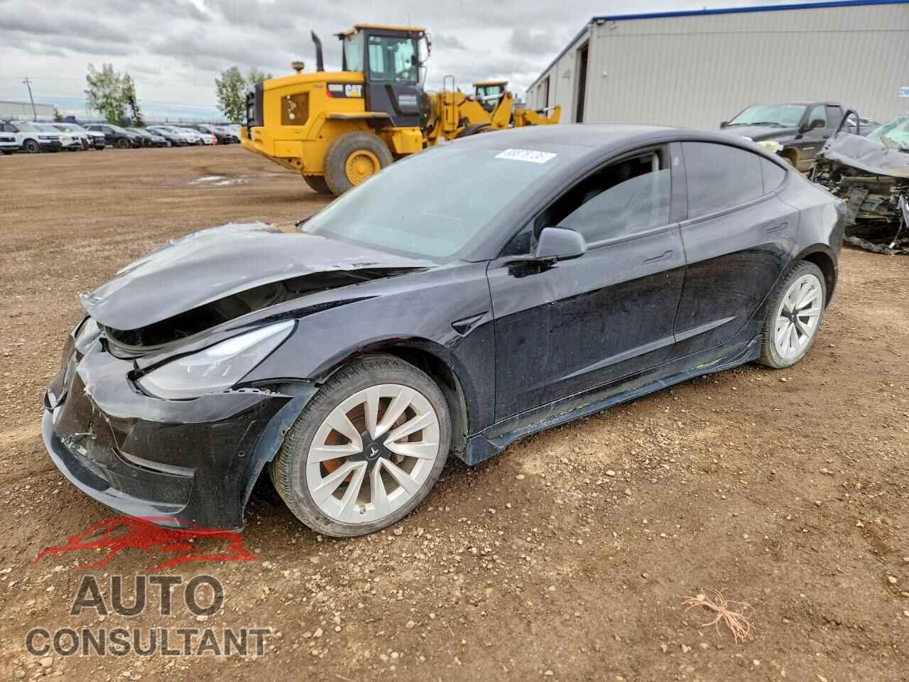 TESLA MODEL 3 2021 - 5YJ3E1EB7MF916616