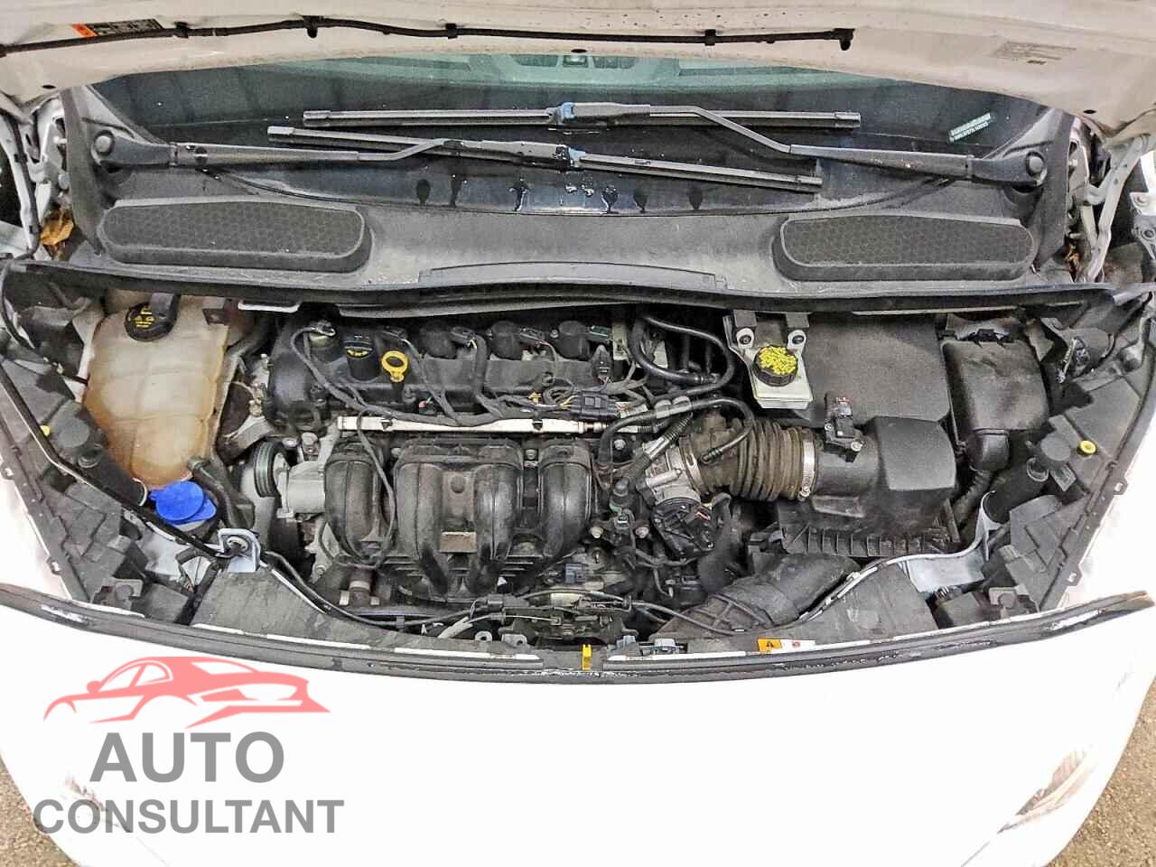 FORD TRANSIT 2020 - NM0LS7E73L1435323