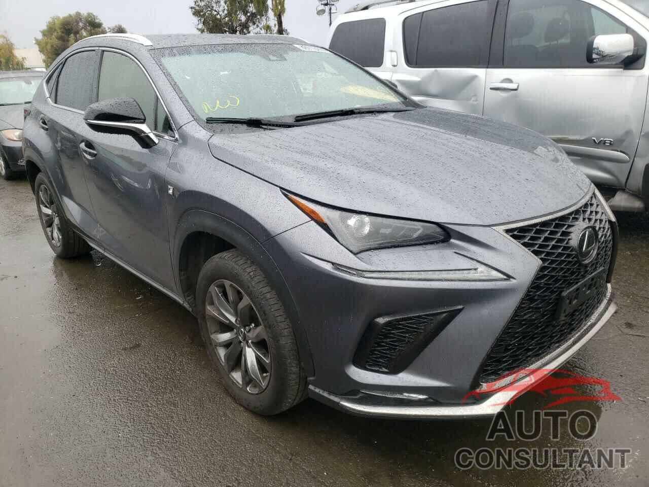 LEXUS NX 2019 - JTJYARBZ7K2121502