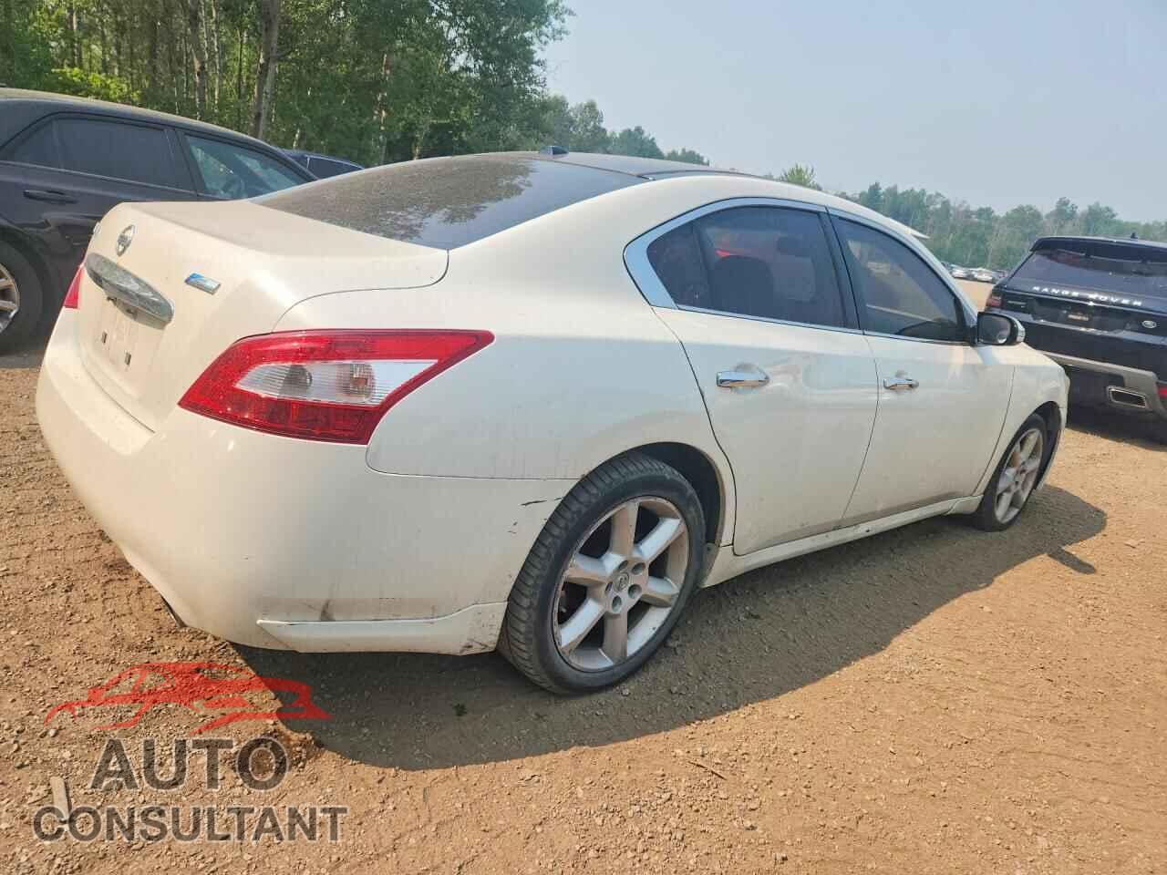 NISSAN MAXIMA 2010 - 1N4AA5AP4AC851069