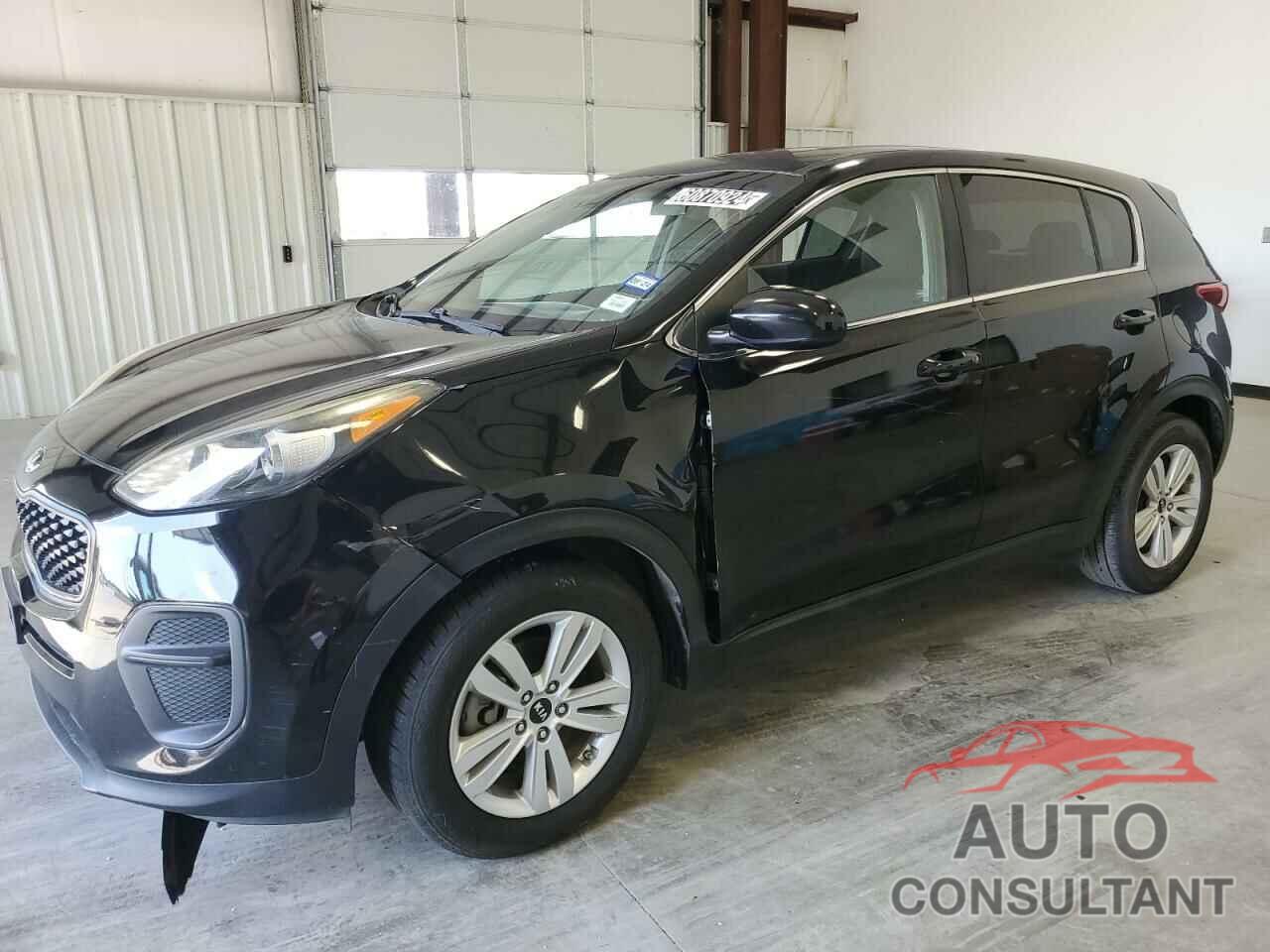 KIA SPORTAGE 2017 - KNDPM3AC3H7227859