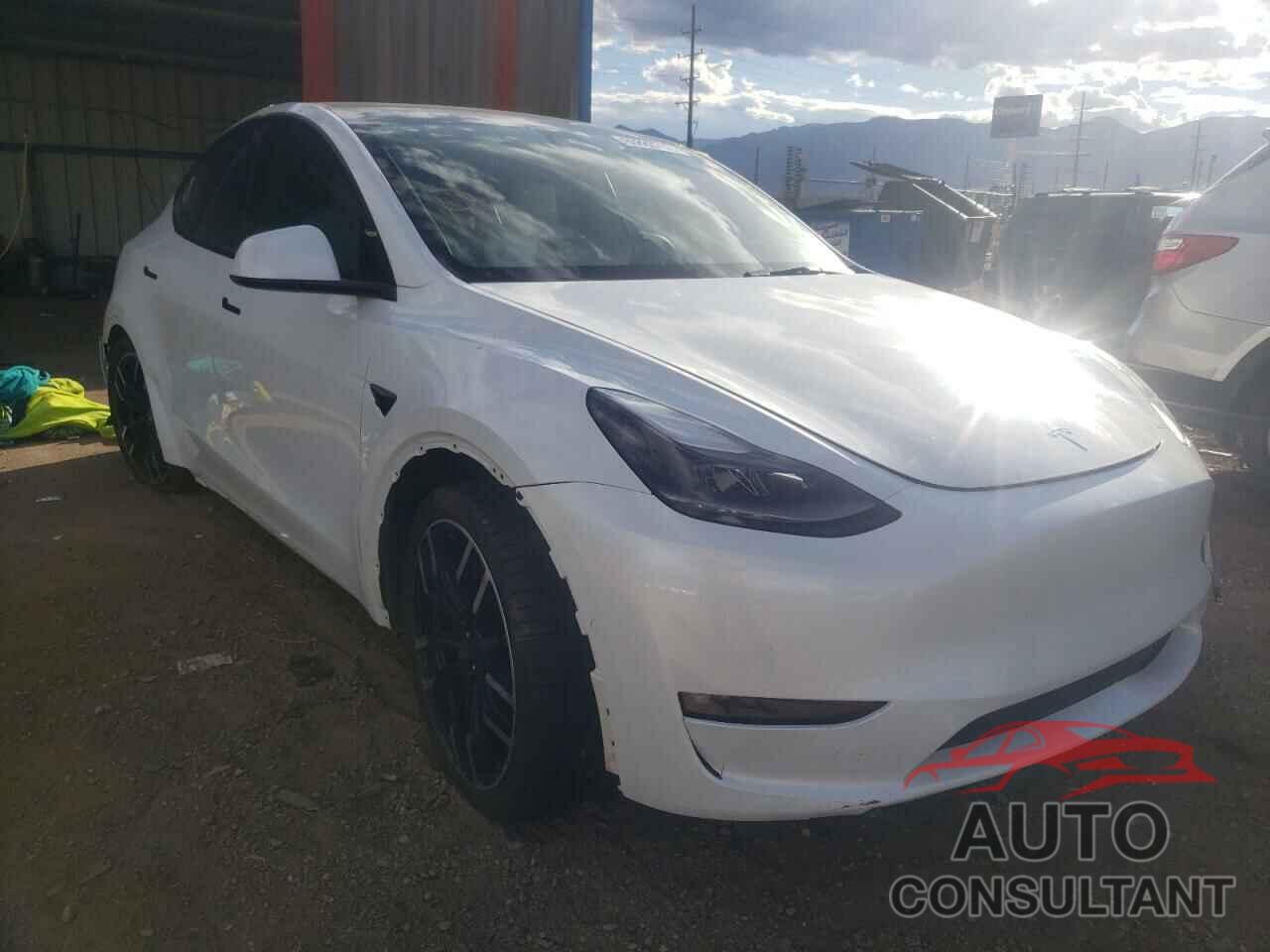 TESLA MODEL Y 2021 - 5YJYGDEF6MF211648