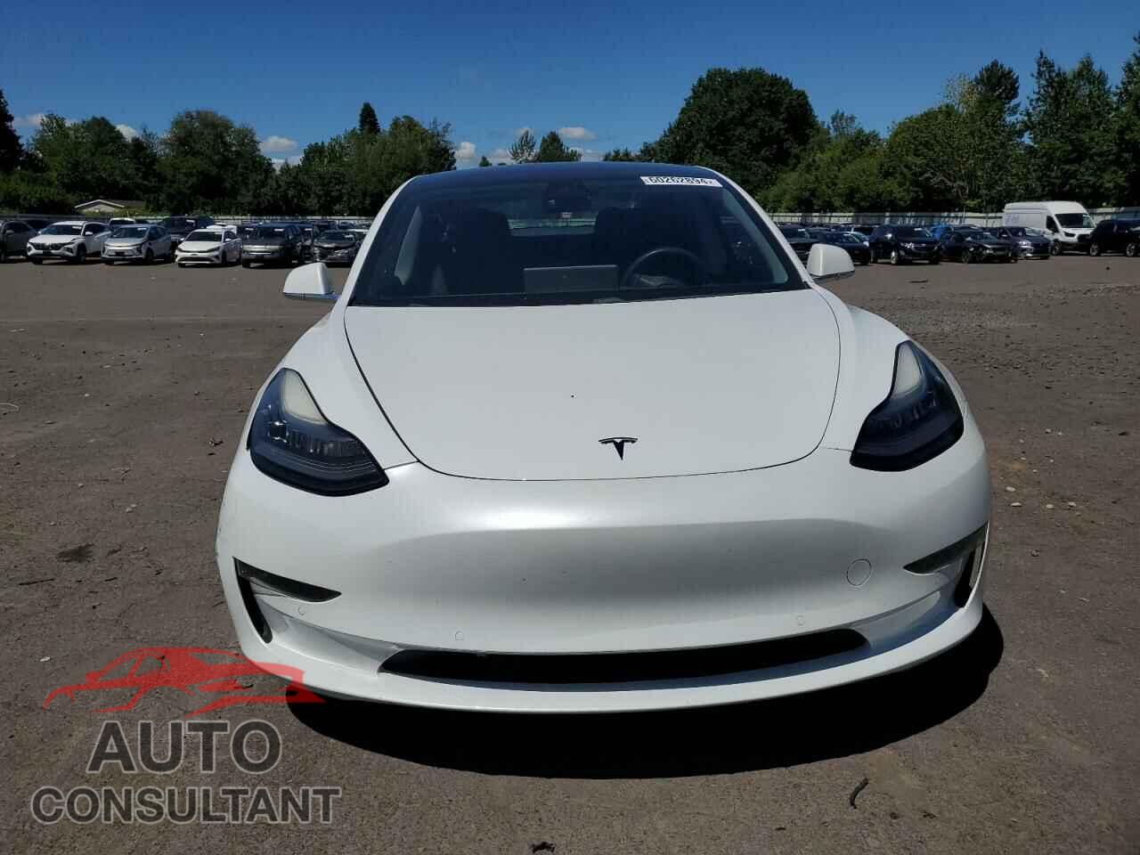 TESLA MODEL 3 2018 - 5YJ3E1EB2JF067832