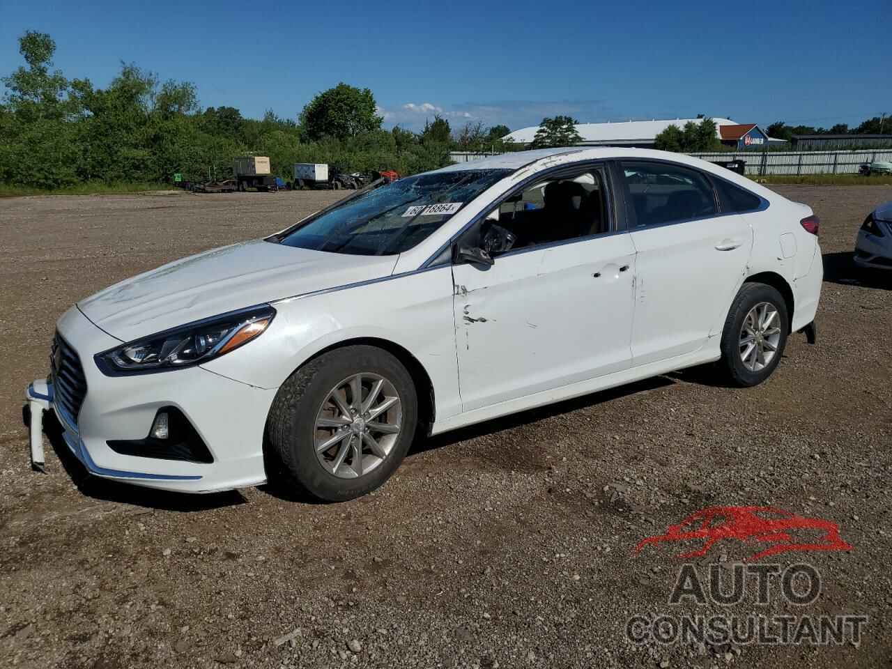 HYUNDAI SONATA 2019 - 5NPE24AF2KH755571