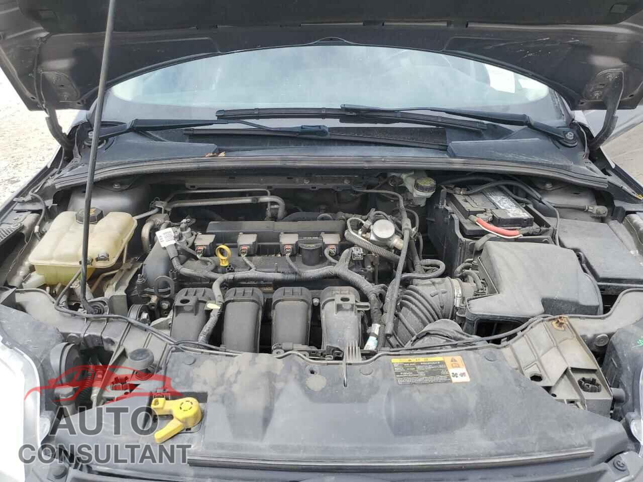 FORD FOCUS 2014 - 1FADP3F23EL146797
