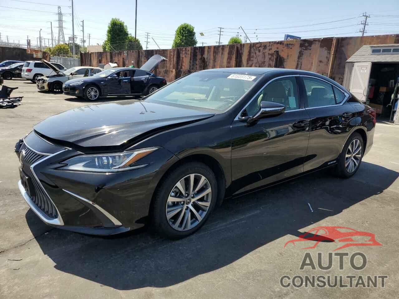 LEXUS ES300 2020 - 58AD21B17LU004572