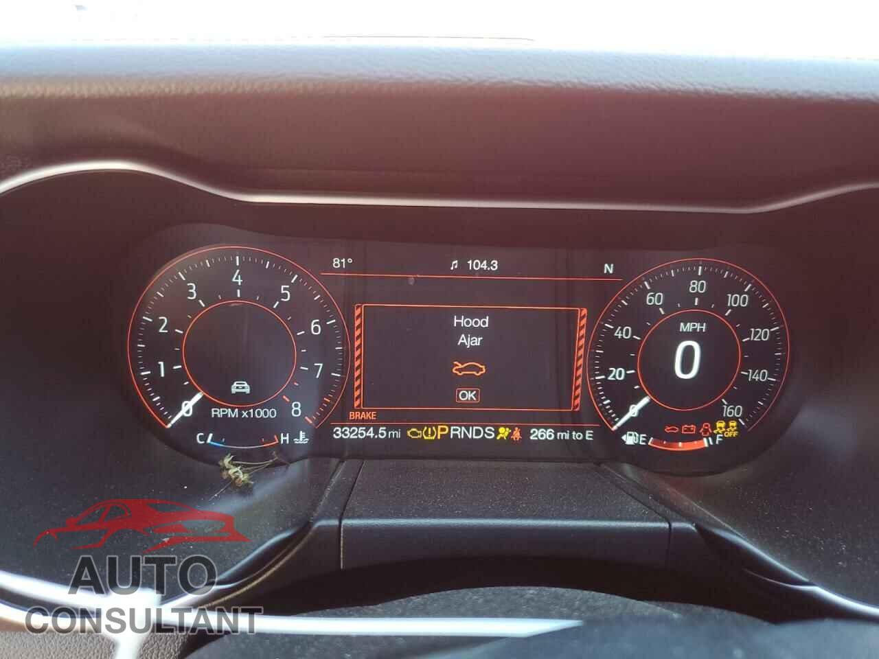 FORD MUSTANG 2019 - 1FA6P8CF0K5116850