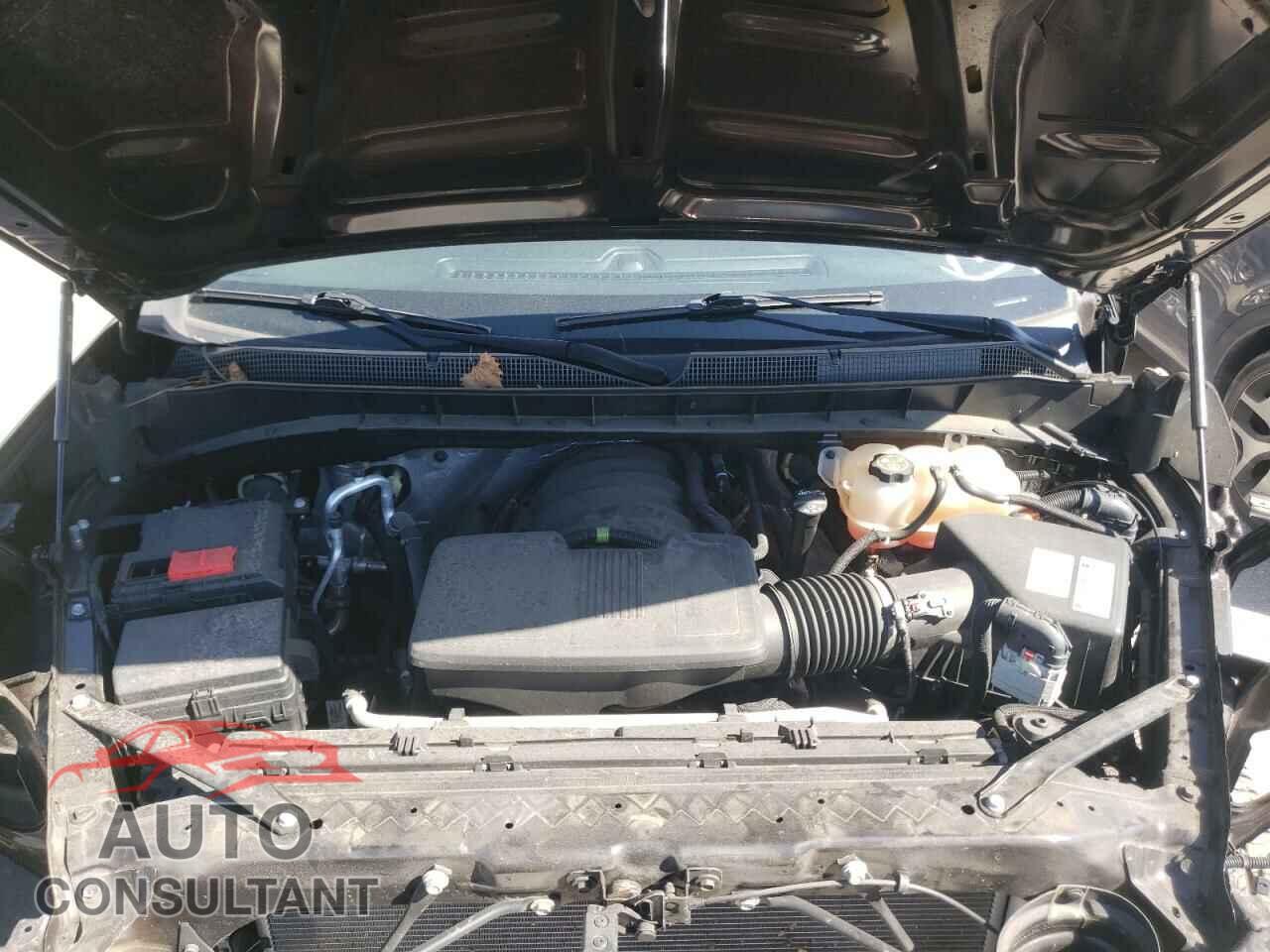 CHEVROLET SILVERADO 2019 - 1GCPYBEH8KZ416698
