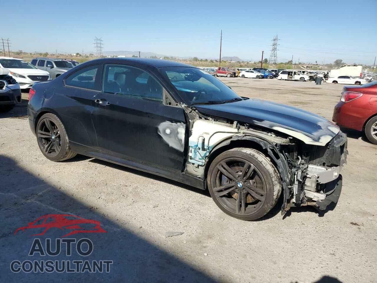 BMW M2 2018 - WBS1J5C51J7B61886