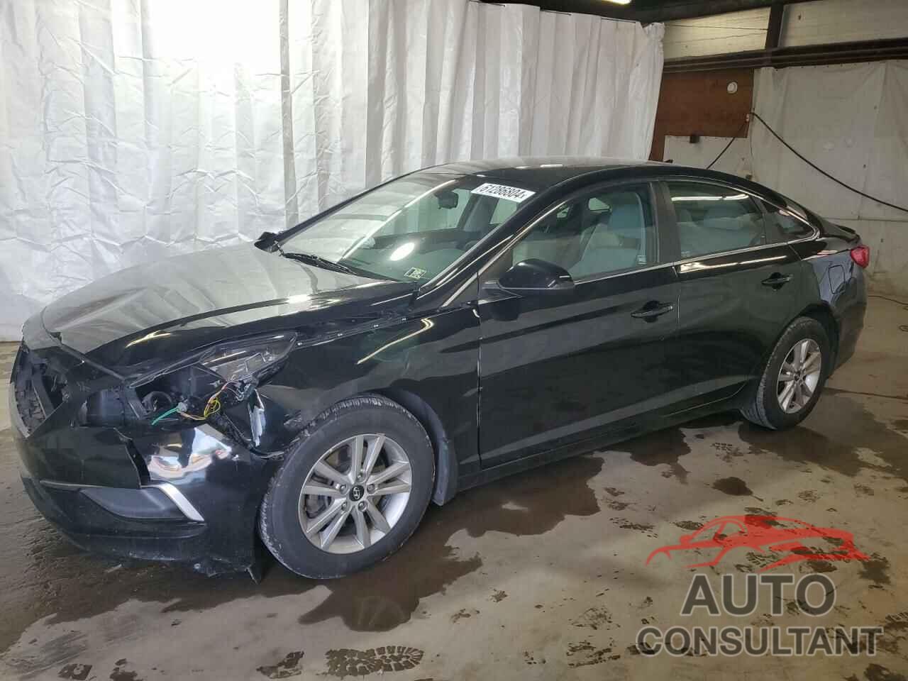 HYUNDAI SONATA 2016 - 5NPE24AFXGH286284