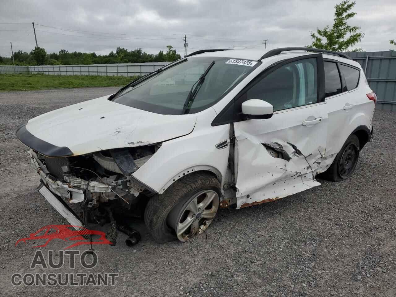 FORD ESCAPE 2014 - 1FMCU0G96EUC61831
