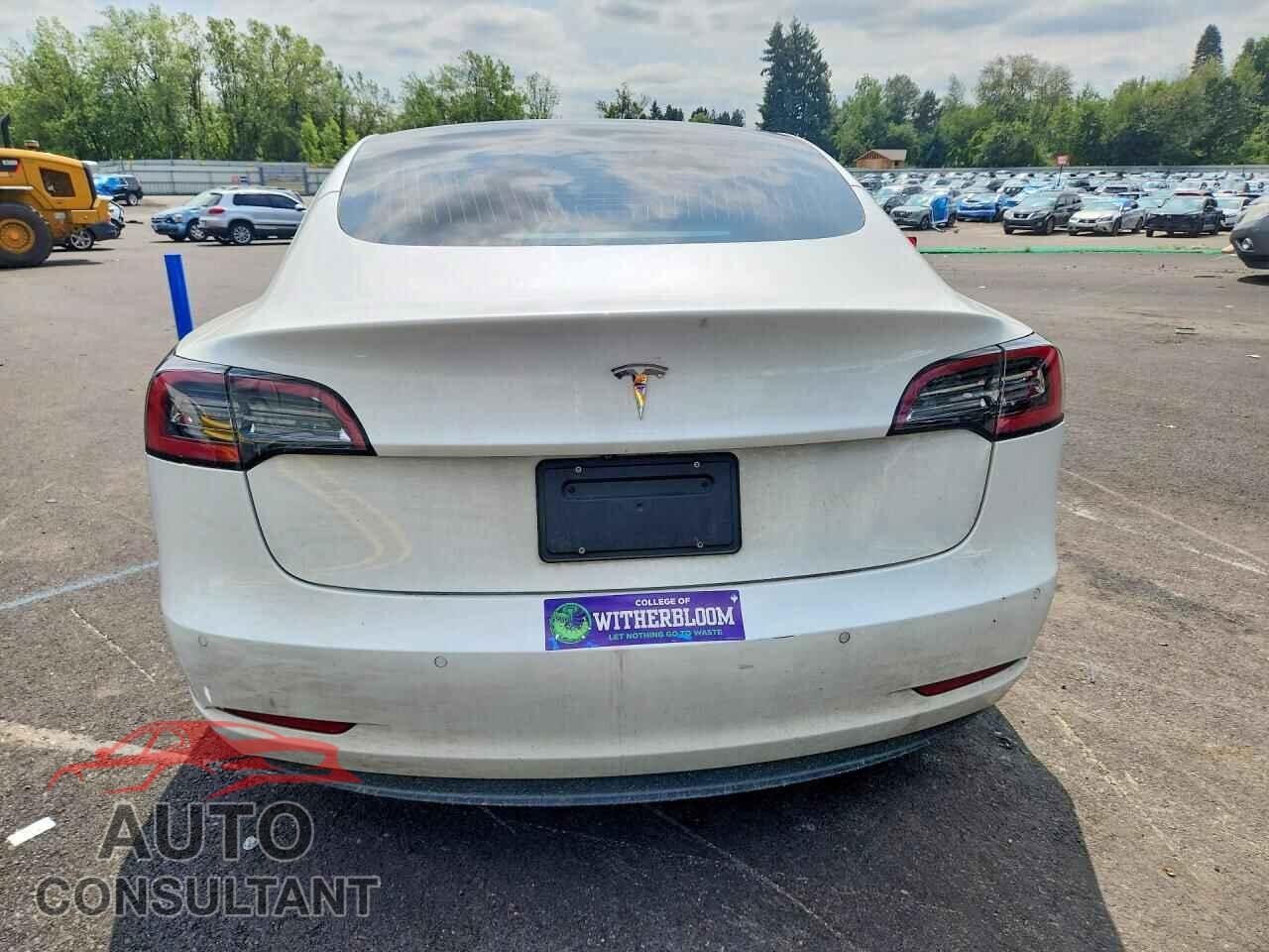 TESLA MODEL 3 2020 - 5YJ3E1EA0LF659076