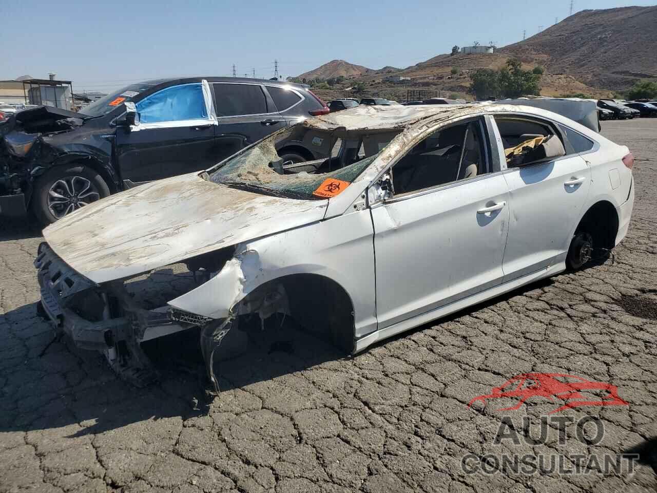 HYUNDAI SONATA 2019 - 5NPE24AF4KH740828