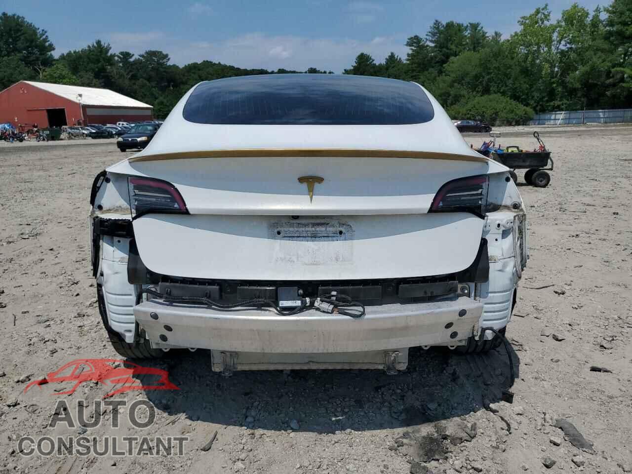 TESLA MODEL 3 2019 - 5YJ3E1EB0KF487588