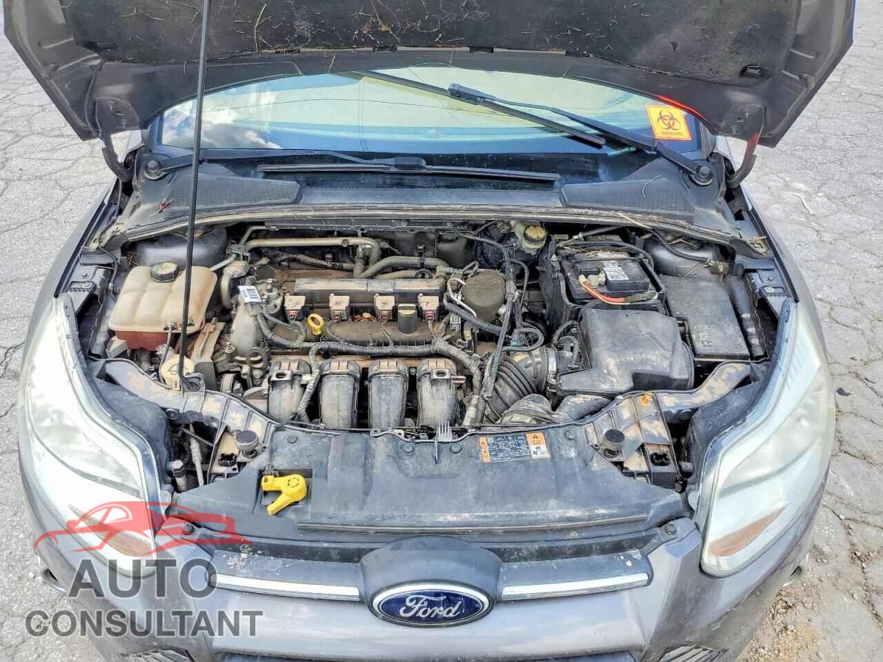 FORD FOCUS 2014 - 1FADP3F2XEL425809