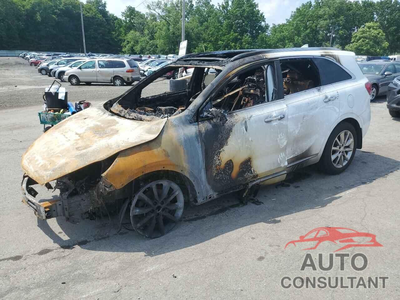 KIA SORENTO 2017 - 5XYPKDA58HG318089