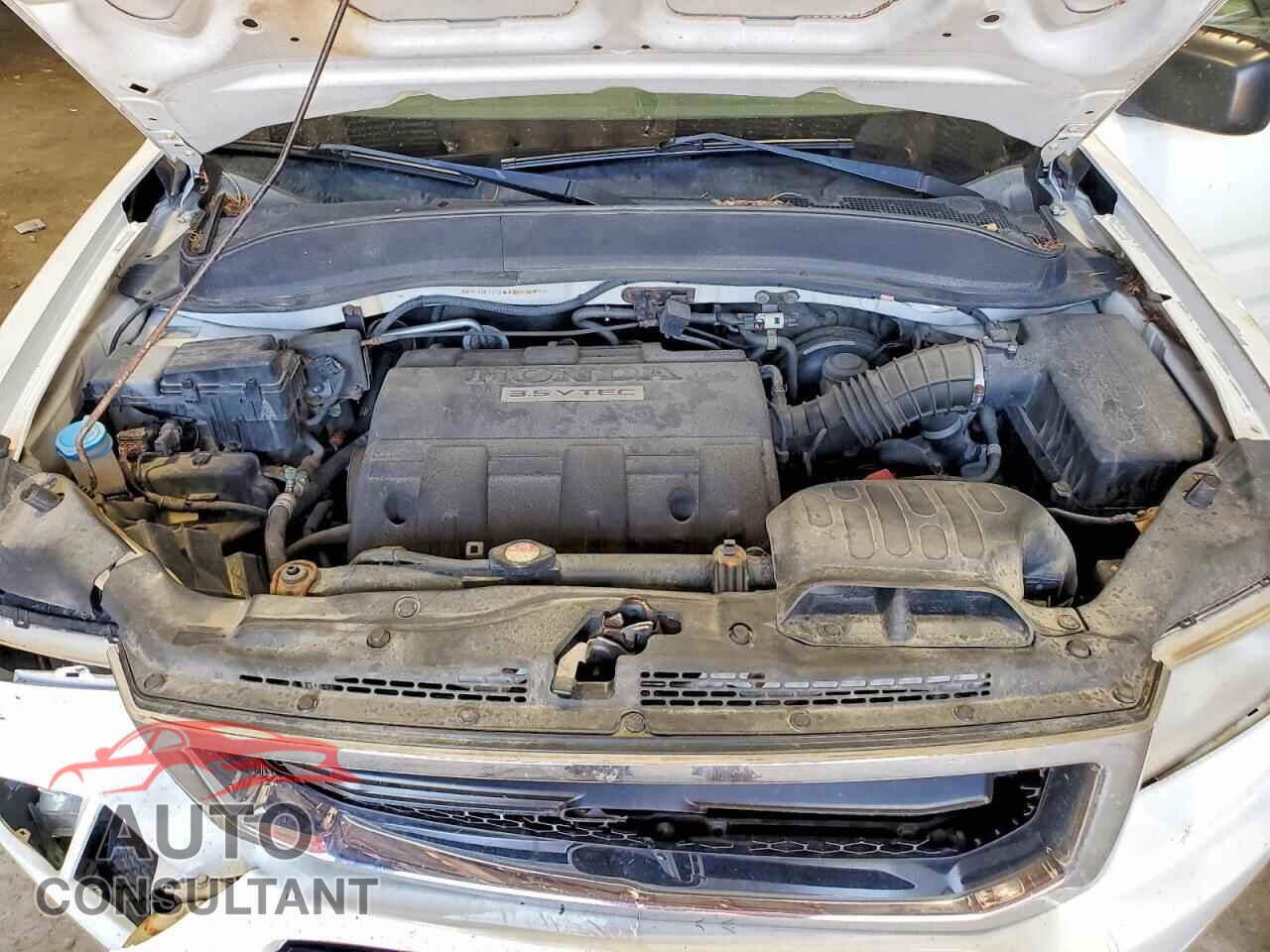 HONDA RIDGELINE 2010 - 5FPYK1F26AB005970