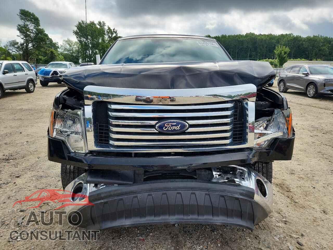 FORD F150 2011 - 1FTFX1CT7BFD03682