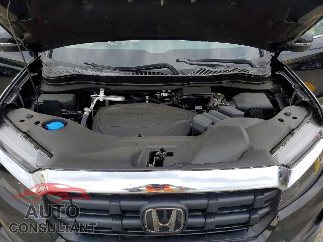 HONDA RIDGELINE 2026 - 5FPYK3F5XTB023459