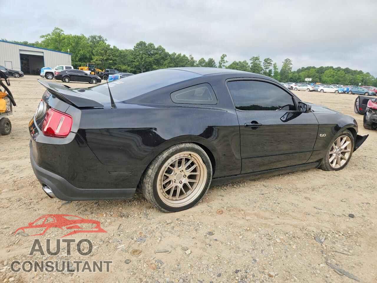 FORD MUSTANG 2011 - 1ZVBP8CF3B5149296