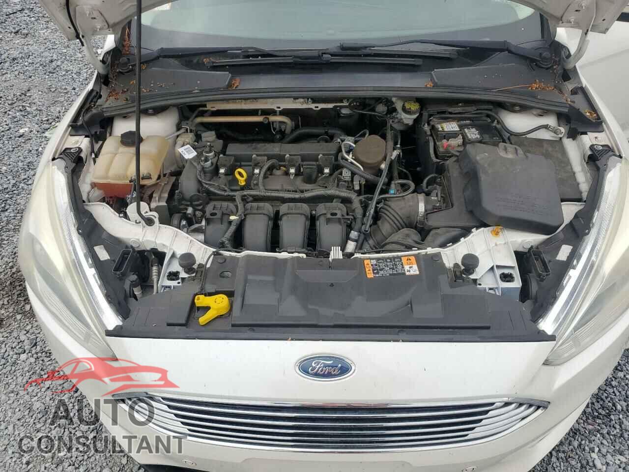 FORD FOCUS 2016 - 1FADP3N22GL292399