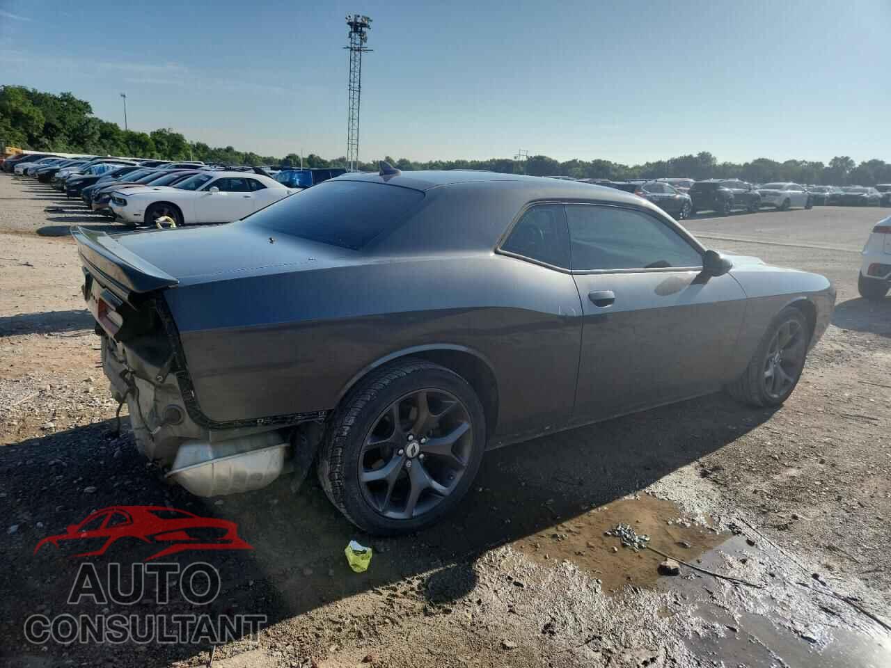 DODGE CHALLENGER 2019 - 2C3CDZAG5KH699839