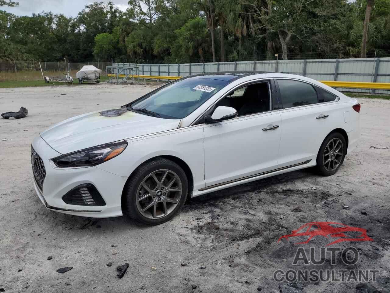 HYUNDAI SONATA 2019 - 5NPE34AB6KH808010