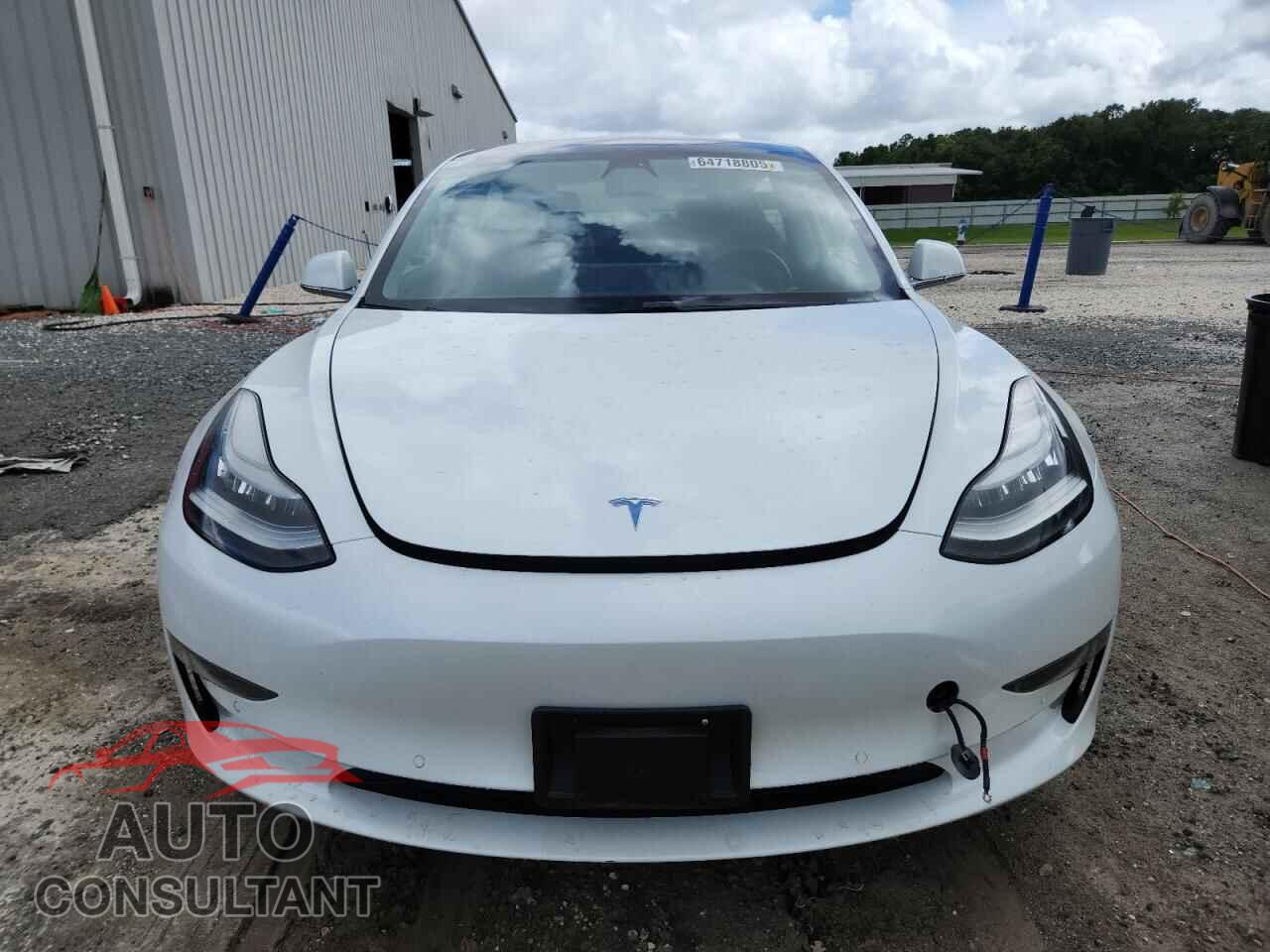 TESLA MODEL 3 2019 - 5YJ3E1EA3KF484319
