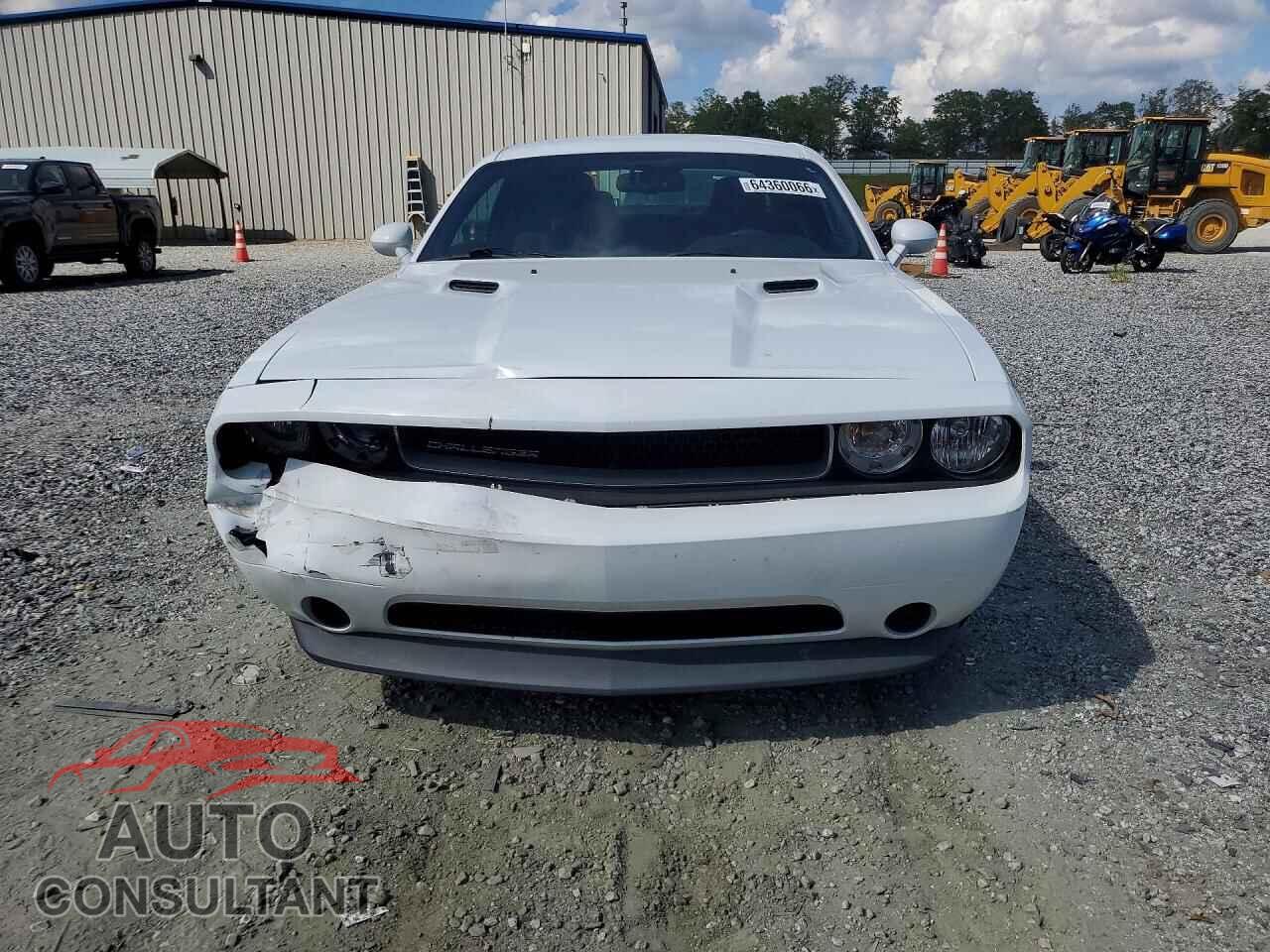 DODGE CHALLENGER 2013 - 2C3CDYAG9DH647594