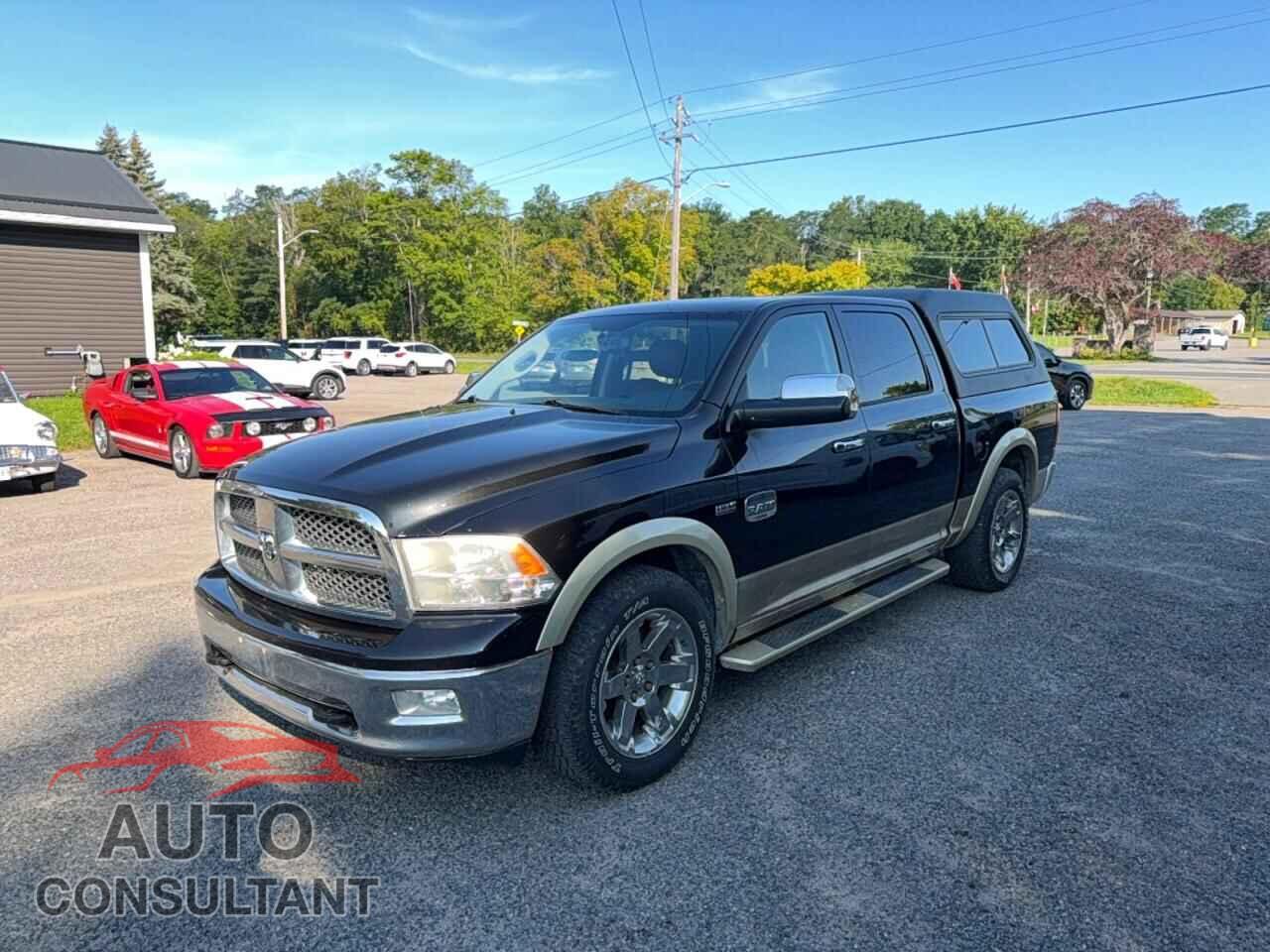 DODGE RAM 1500 2011 - 1D7RV1CT8BS624808