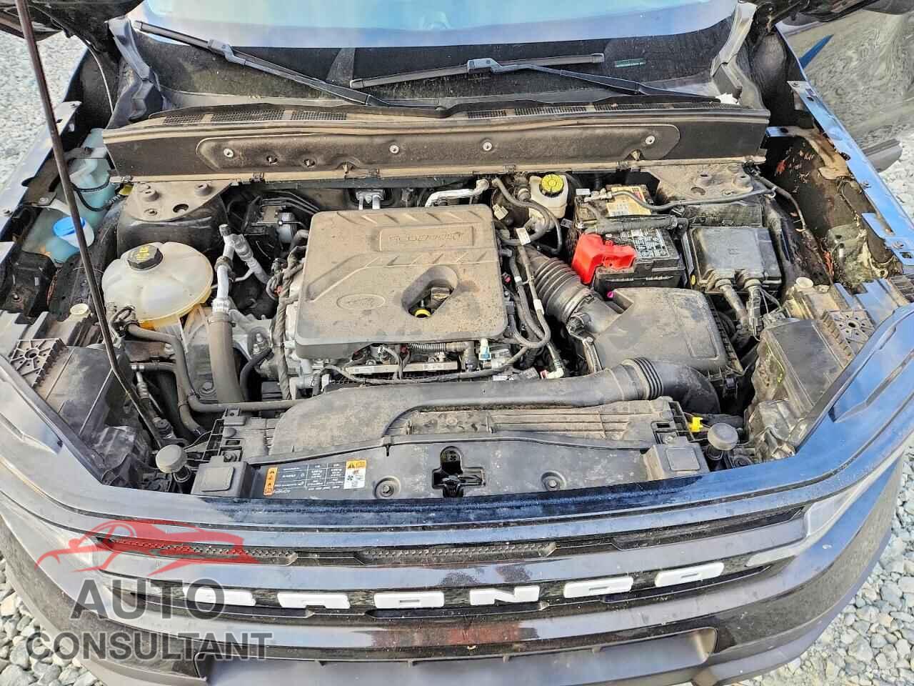 FORD BRONCO 2021 - 3FMCR9C64MRA59092