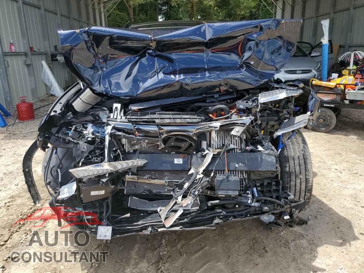 HYUNDAI TUCSON 2024 - KM8JECD10RU245456