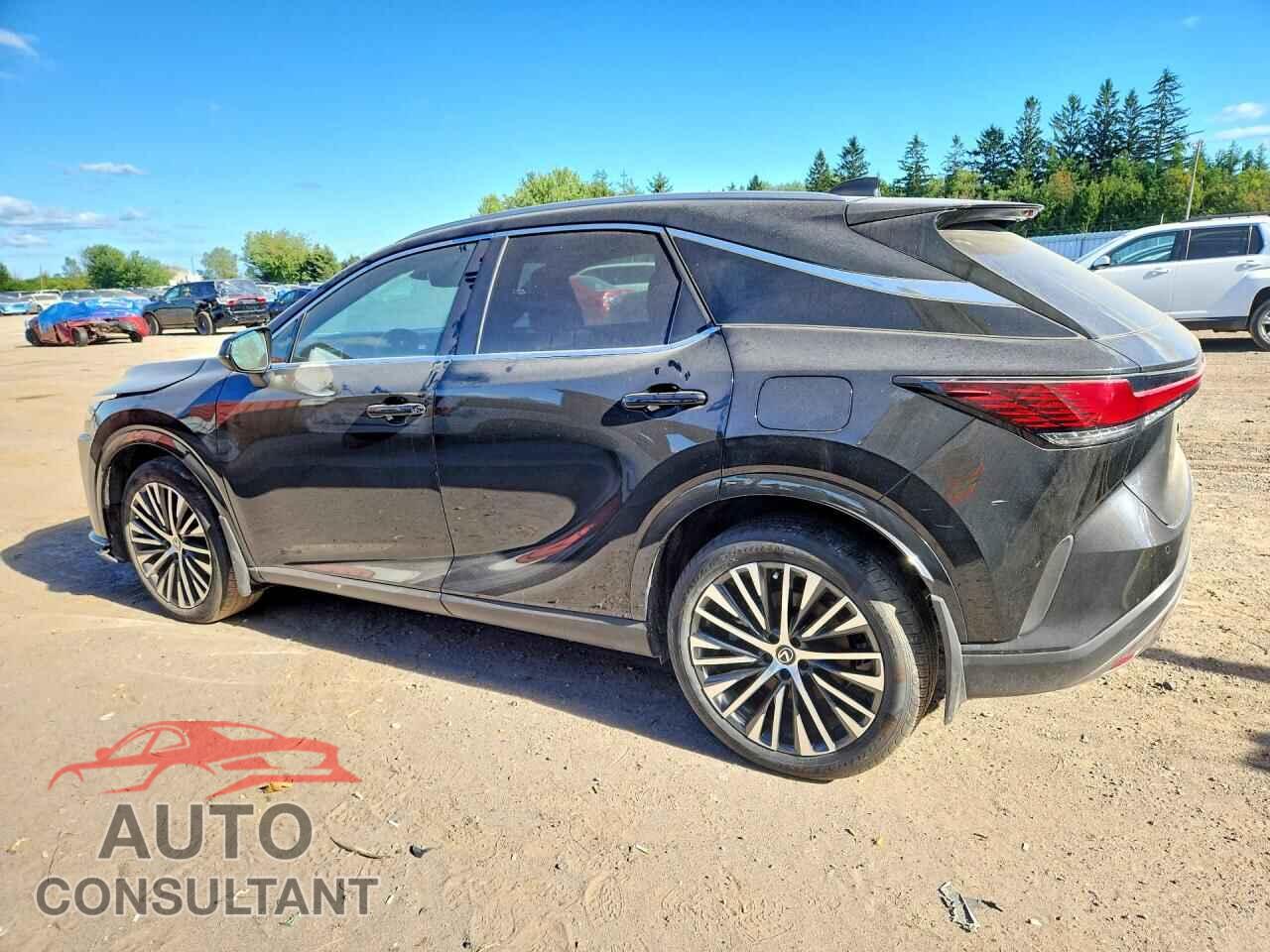 LEXUS RX350 2024 - 2T2BAMCA7RC078176