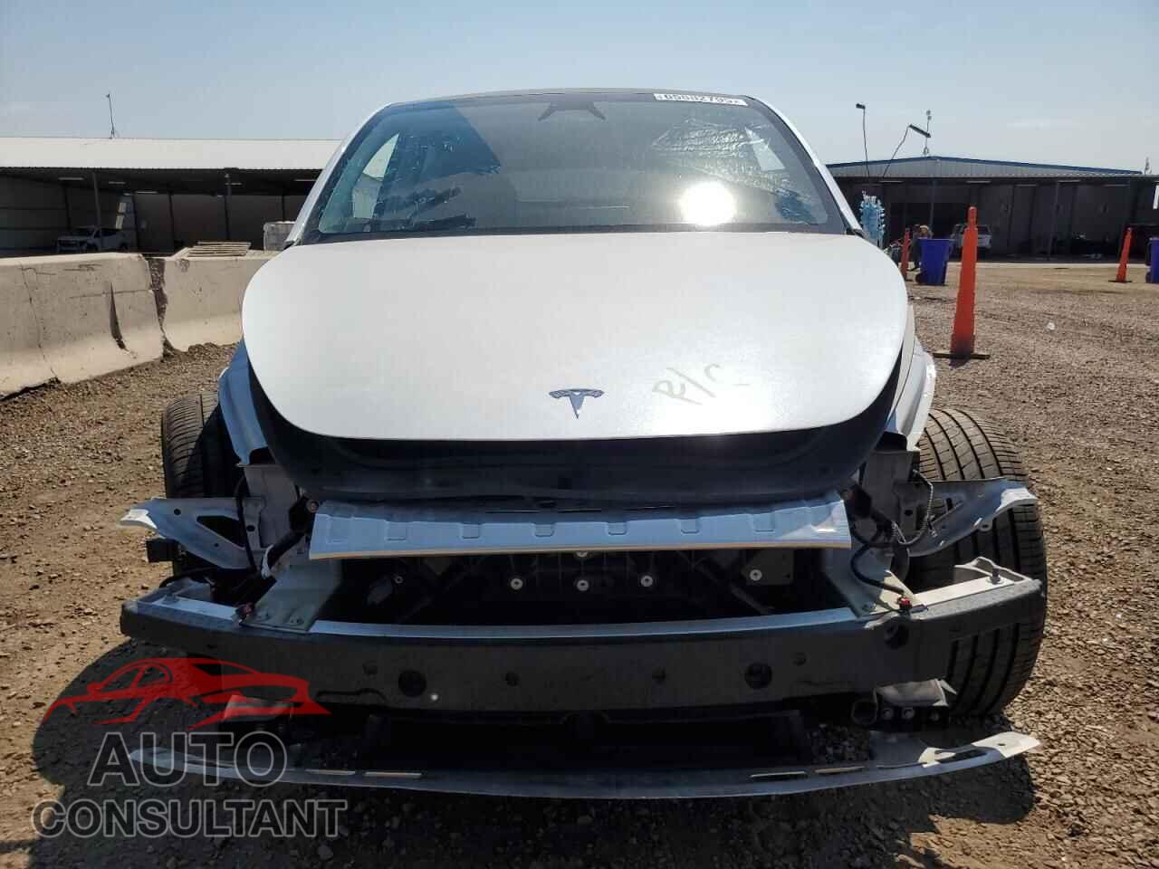 TESLA MODEL Y 2024 - 7SAYGDEE3RF154326