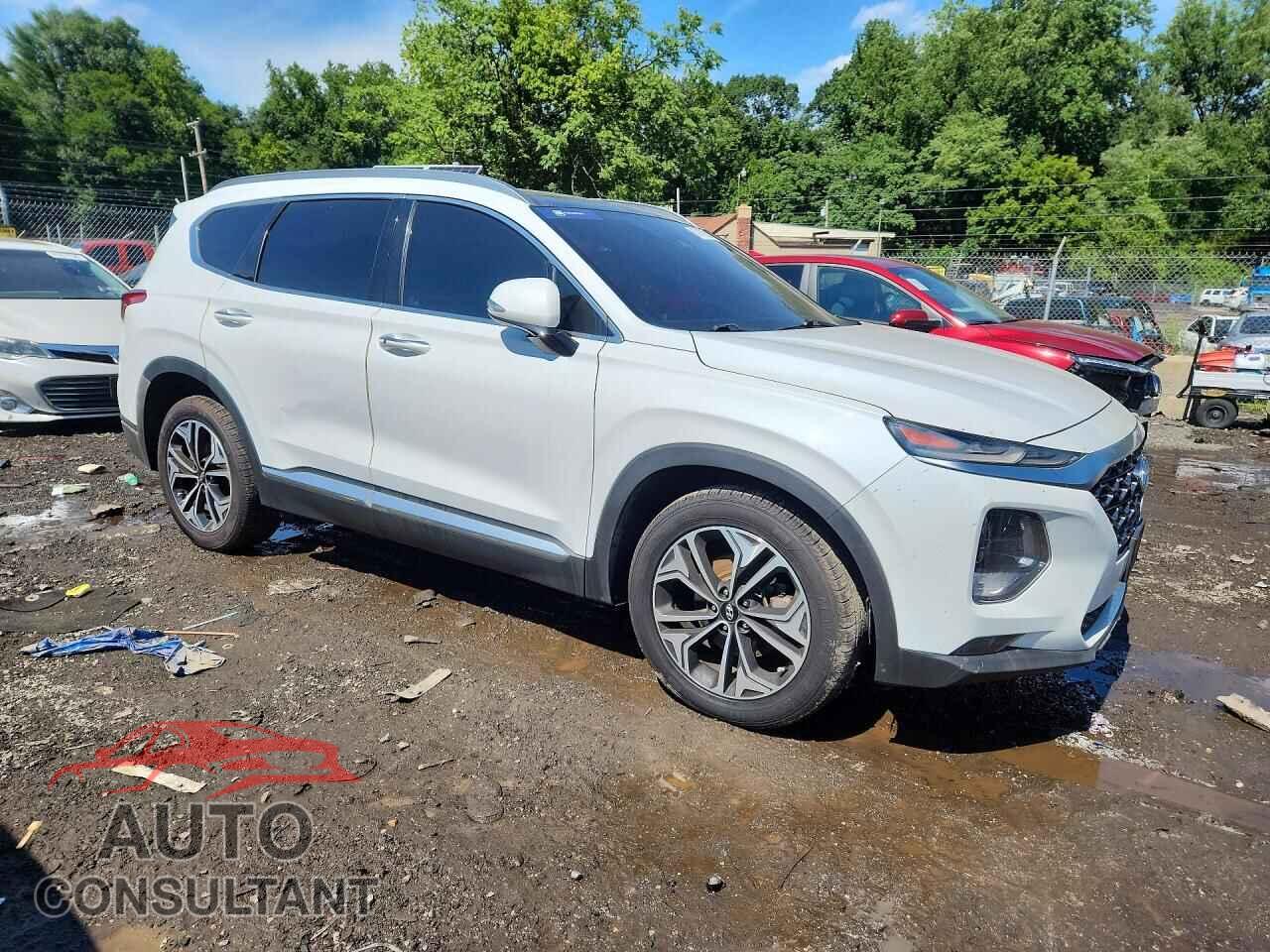 HYUNDAI SANTA FE 2019 - 5NMS5CAA4KH037011