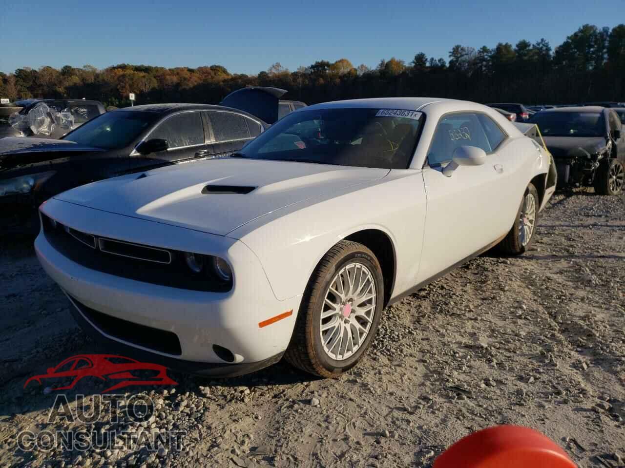 DODGE CHALLENGER 2019 - 2C3CDZAG9KH701012