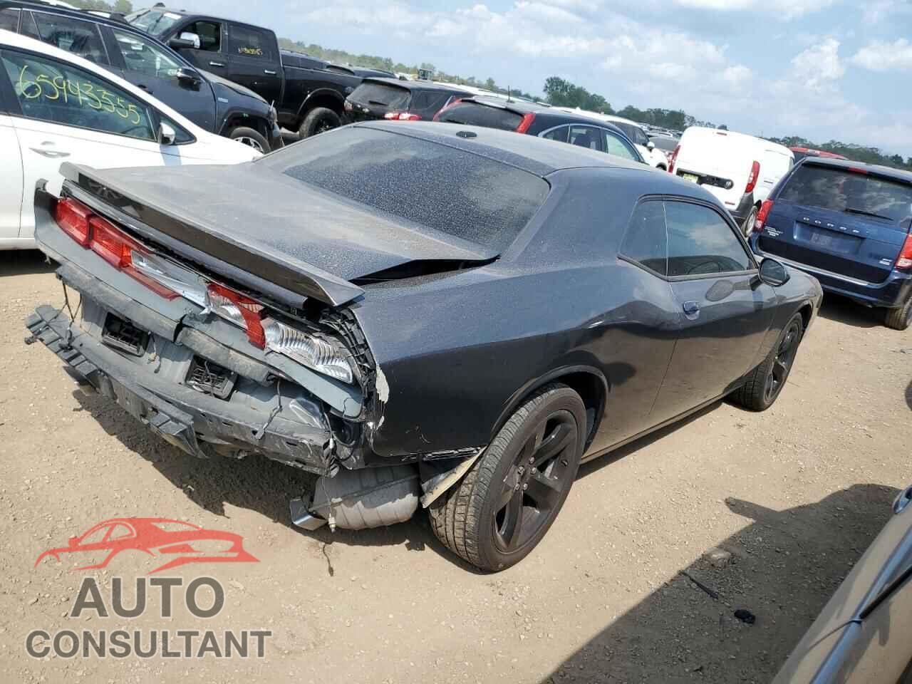 DODGE CHALLENGER 2014 - 2C3CDYAG9EH294713