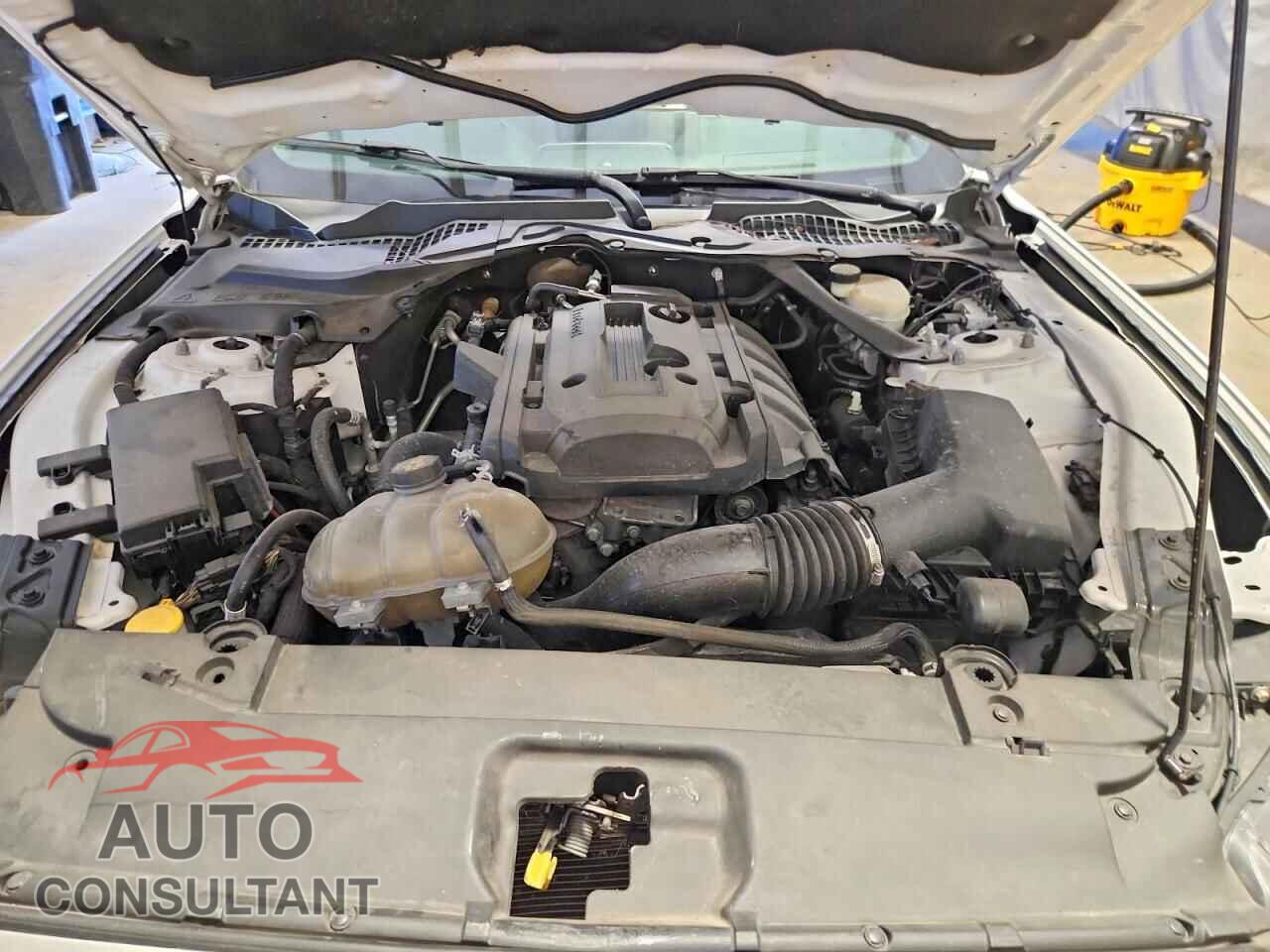 FORD MUSTANG 2017 - 1FATP8UH6H5205172