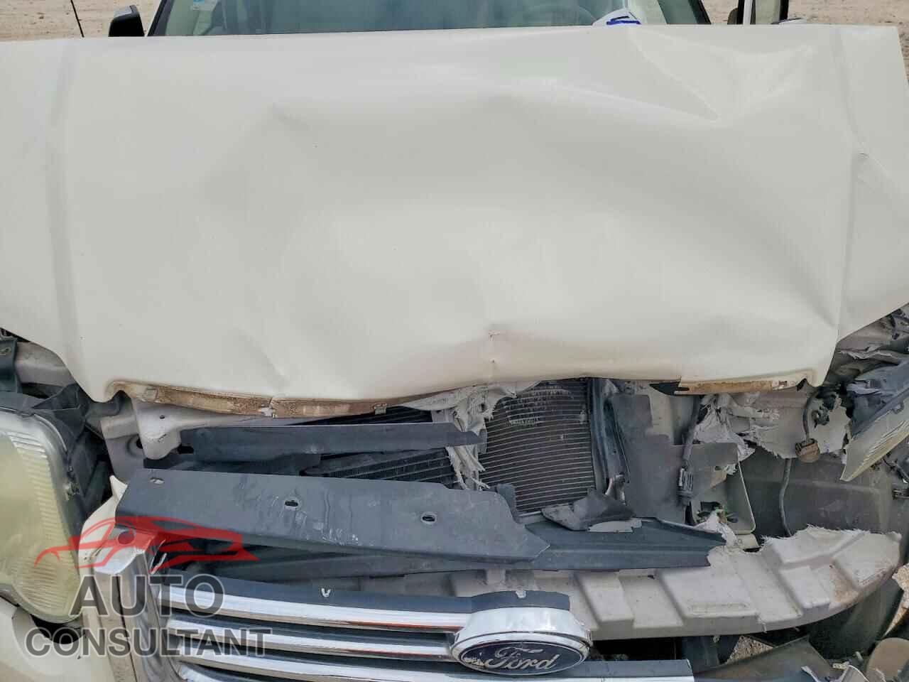 FORD EXPLORER 2009 - 1FMEU65E69UA40571