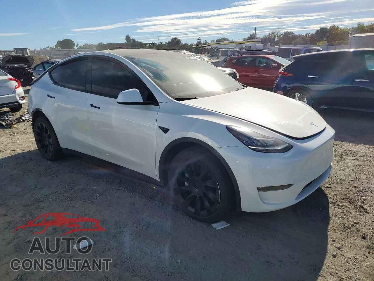 TESLA MODEL Y 2023 - 7SAYGDEE6PF583781